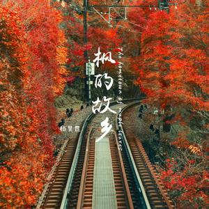 熟妇局长的淫态
